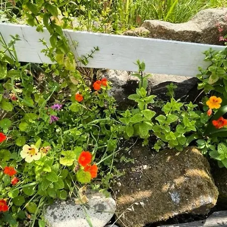 D38-tregastel - T'y Nima Maison De Pecheur Avec Jardin Clos Mae-9194 *