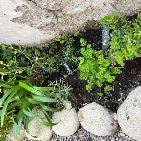D38-tregastel - T'y Nima Maison De Pecheur Avec Jardin Clos Mae-9194 *