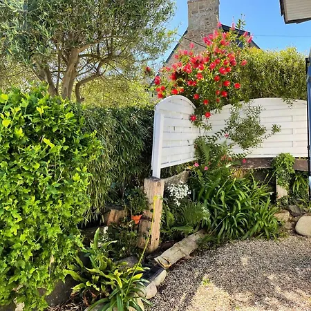 D38-tregastel - T'y Nima Maison De Pecheur Avec Jardin Clos Mae-9194 Villa Trégastel